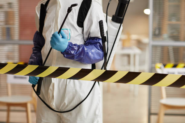 Professional Sewage Cleanup technician working in Wyoming, PA
